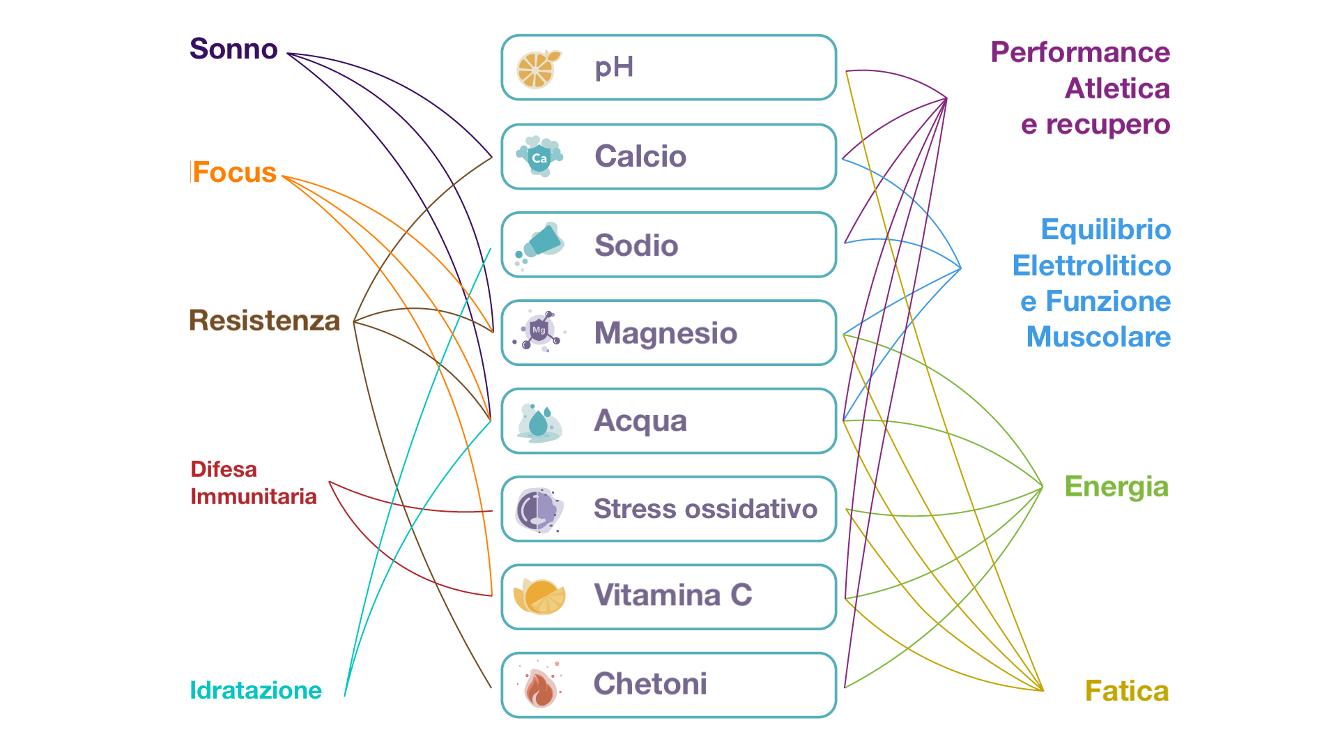 Test del Benessere Vivoo