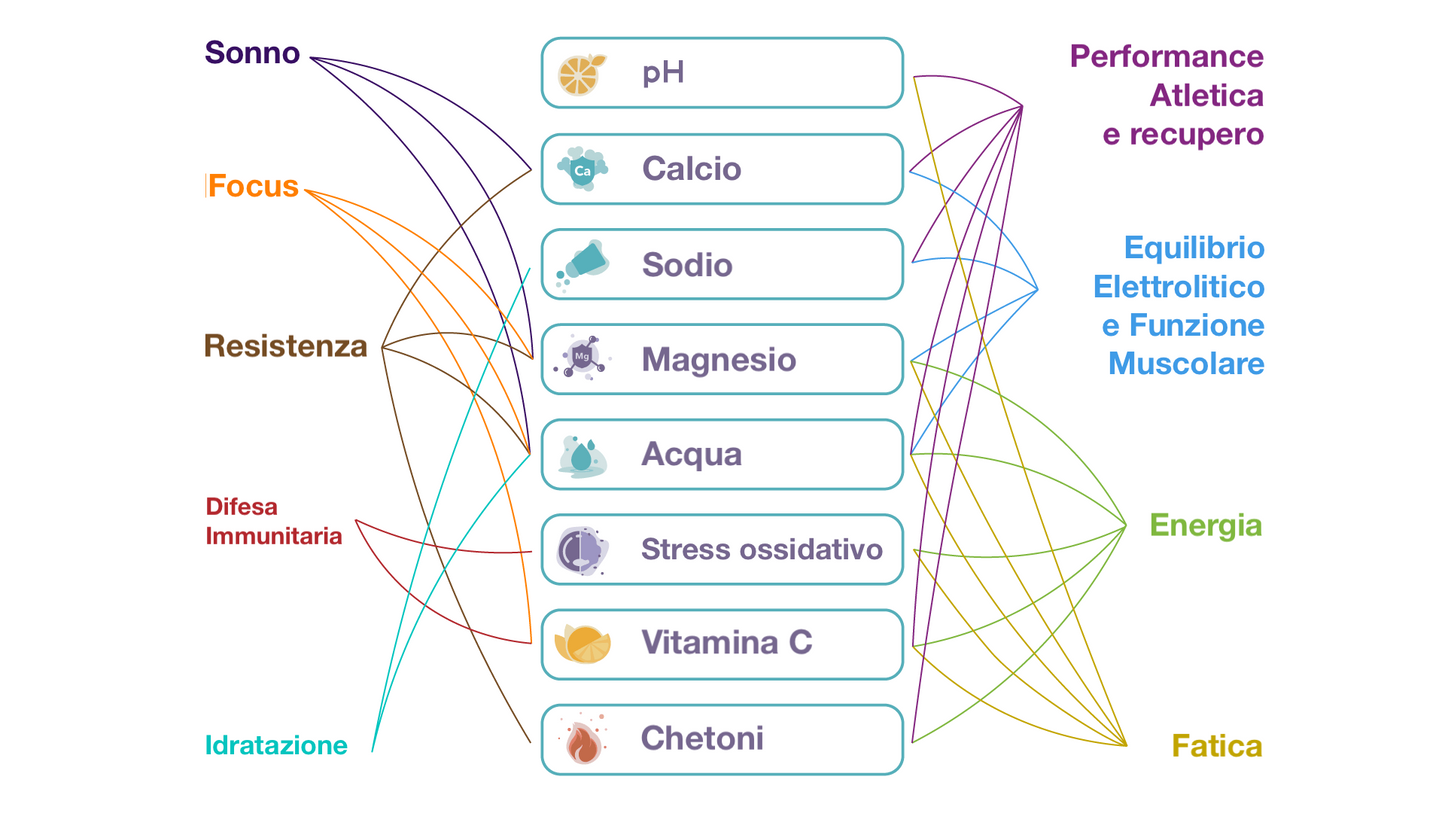 Test del Benessere Vivoo